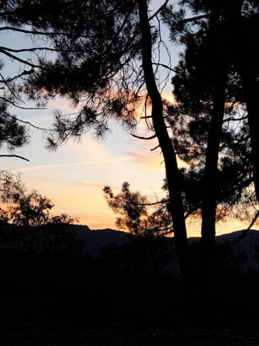 Apartment Le Chausse A Bres D'hotes 2 Payzac (Ardeche)
