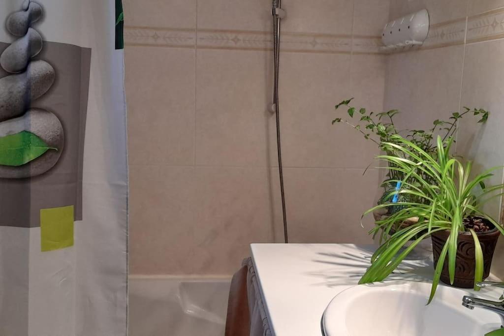 Appartement Le Chausse A Bres D'hotes 2 Payzac (Ardeche)